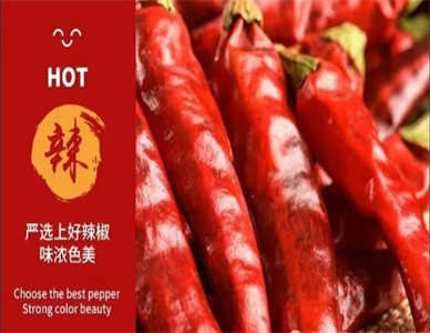 微信截图_20250522103236.jpg